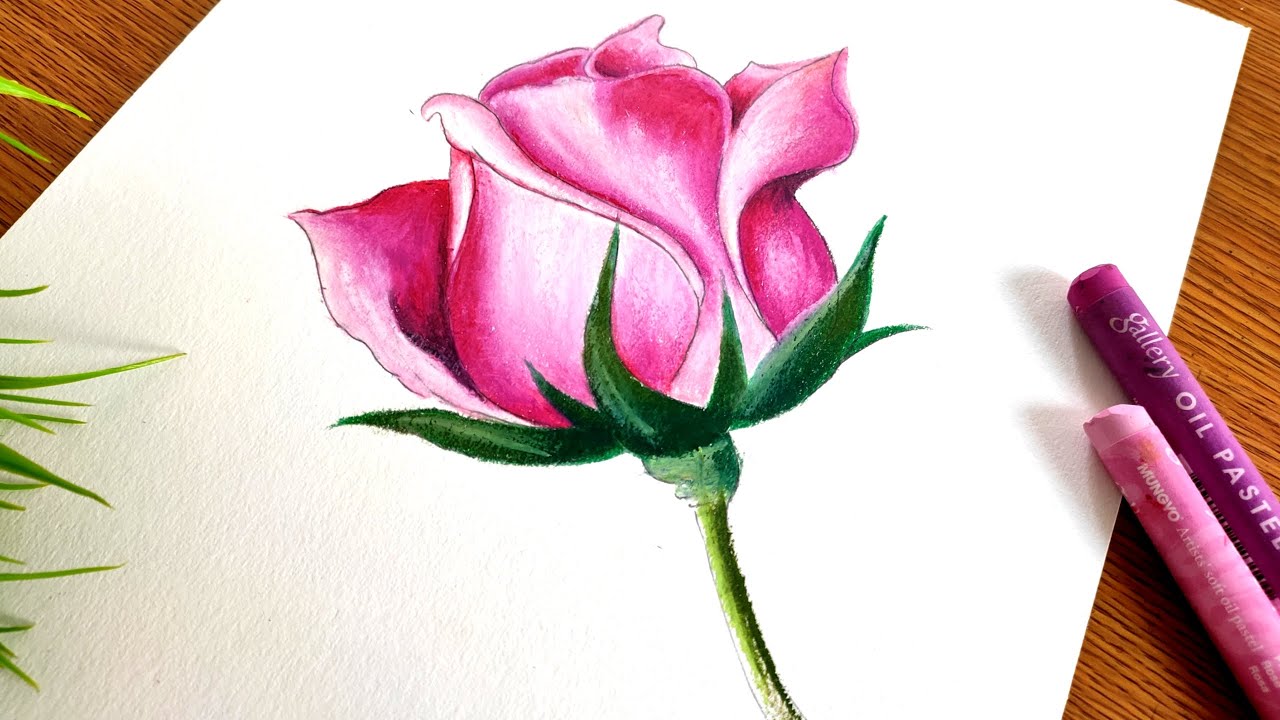 Rising Artist inside You - Tulip 🌷 flower drawing with oil pastels....  watch step by step video on YouTube Rising Artist inside You #oilpastels  #oilpastel #oilpasteldrawing #oilpastelpainting #oilpastelartwork  #oilpastelartist #oilpastelartist ...