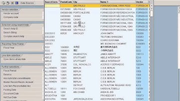 SAP AP Vendor Open Item Analysis