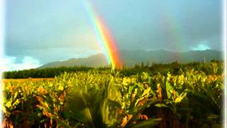 Watch Gram Parsons Wheel Of Fortune video