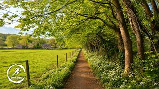 Peaceful Spring Trail Run | Countryside Treadmill Running Scenery (70 Min Virtual Run)