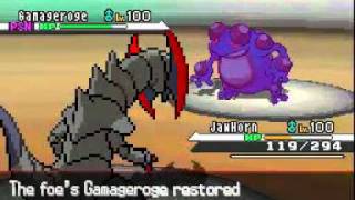 Pokemon B/W Wi-Fi Battle VS  rice4life16 ( 5th gen DW ability is illegal? )