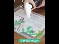 加厚磨砂透明拉錬A4文件袋 (超值5入) product youtube thumbnail