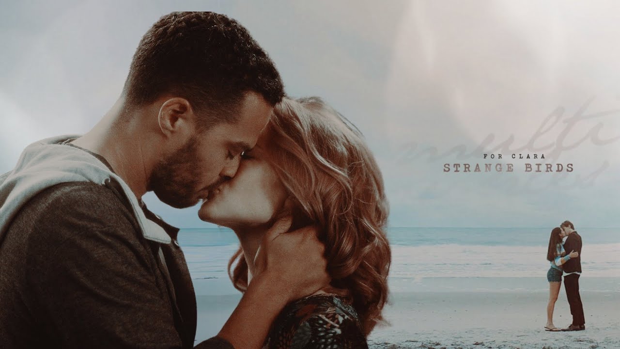 Multicouples | strange birds [HBD 