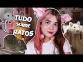 O QUE VOCÊ PRECISA SABER ANTES DE TER UM RATO TWISTER! 🐁