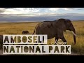 Kenya | Safari in Amboseli National Park