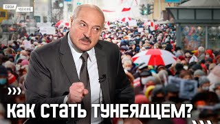 Чиновники снова взялись за «тунеядцев». Кого затронут изменения в законодательстве?