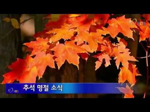 2019년 9월 8일 YBS 뉴스