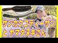 サンカクコティーサンとヤマタヌキさん　～亀山湖・バス釣り～　Okagesan fishing notes Lure Fishing Large mouth bass