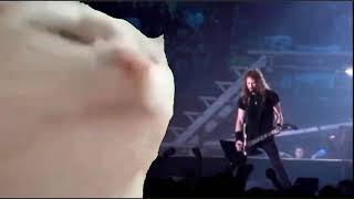 Cat Vibing Metallica Sad But True | Gato escuchando SAD BUT TRUE