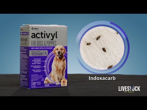 activyl®-flea-treatment-for-dogs-&-puppies