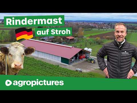 Animal welfare cattle fattening on straw | New barn with Hetwin Athos bedding robot and feeding r...