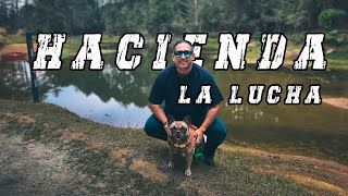 Hacienda La lucha - CARTAGO-Pet friendly