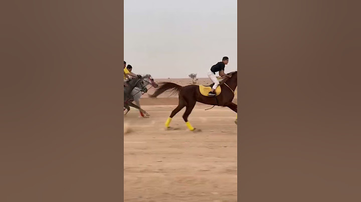 سباق خيل عربية🐎🔥 #خيل #خيل_عربي_اصيل