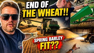Final day at the wheat!! - is the spring barley ready? Final day at the wheat!! - is the spring barley ready?