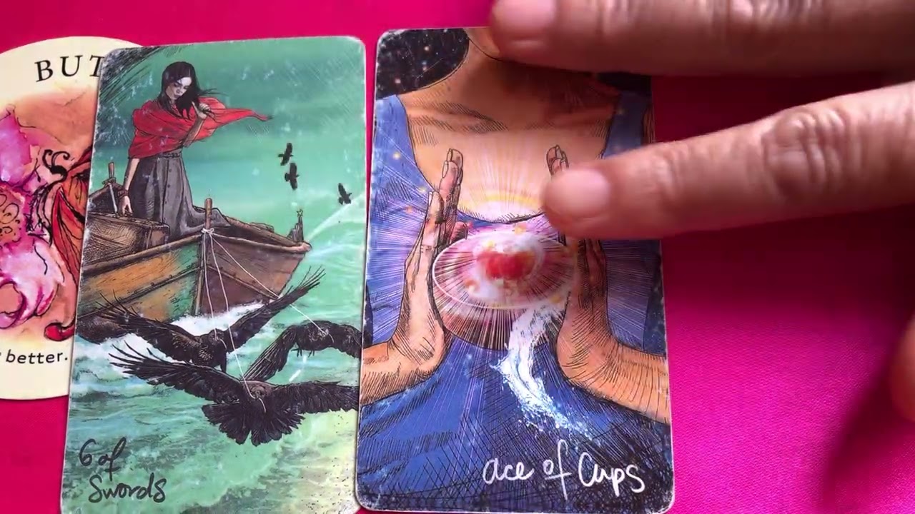 Một người đặc biệt bất ngờ đến tìm Bạn-Họ đến với mục đích gì.?