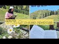 Отдыхаю в горах ⛰ Читаю книгу Сесилии Ахерн 📖