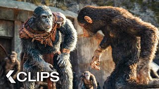 Kingdom Of The Planet Of The Apes All Clips & Trailer (2024)