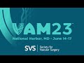 World federation of vascular societies wfvs session at the 2023 vascular annual meeting vam23