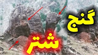 گنج شتر باستانی مخصوص دفینه گذاری