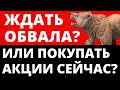 Ждать обвала или покупать акции сейчас? Как инвестировать? Инвестиции в акции. трейдинг