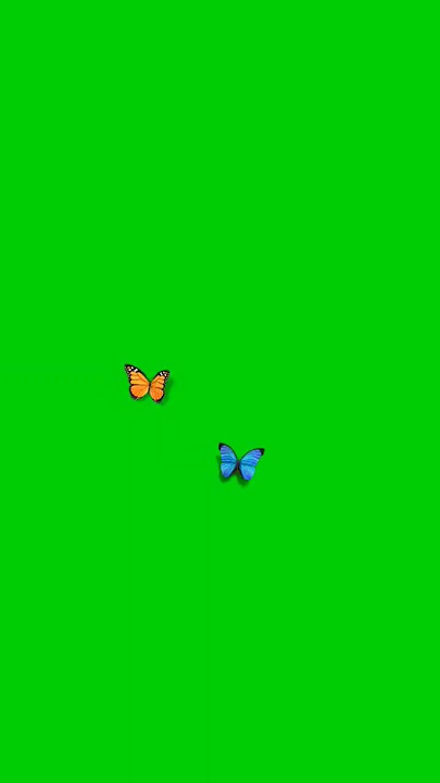 butterfly green screen template ❤️❤️ non copyright themes