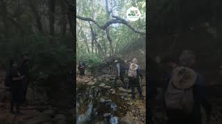 Kuduremukha Trek Nambiar Bellezea Villa Community Treknomads