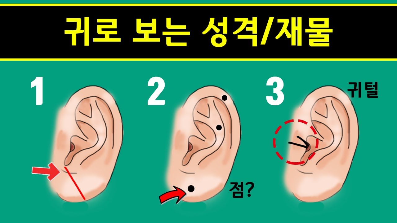 귀로 보는 재물운 성격 및 운세 🦻 귀에 점이 있다면 !? 내 귀는 복귀 일까