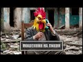МОШЕННИК НА ЛИНИИ - Мошня не может объяснить, зачем приходить в салон связи (№328)