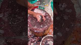 Only legend can find mistakes |• 😅🤣 #viral #trending #fishmarket #aquariumfishmarket