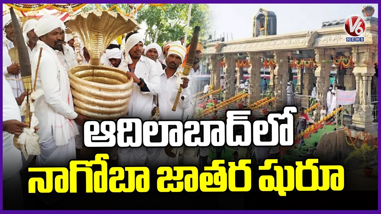 Nagoba Jatara Begins From Today Adilabad | V6 News