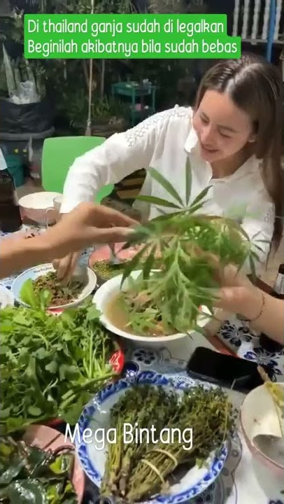 Beginilah jadinya kalau ganja sudah di legalkan orang makan seperti orang gila