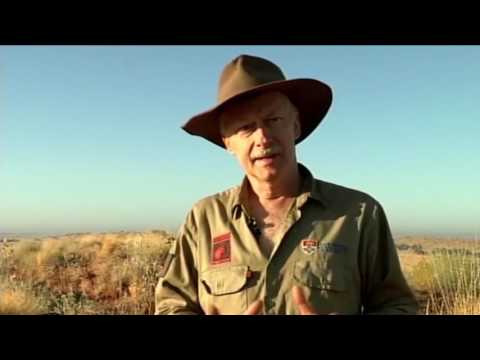 هذا الصباح توفير ملاجئ آمنة لحيوانات مهددة بالانقراض