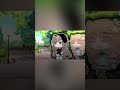 Let's go rollerblading | Gacha Club | Gacha Life