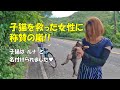 感謝100万再生 これは奇跡に等しい。 Rescue the cat