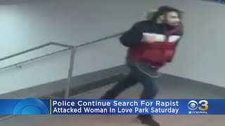 Search Continues For Rapist Who Attacked Woman In Love Park