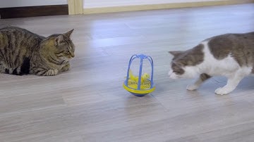 OurPets Bird in a Cage