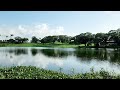 Sunny afternoon with reflective waters of Ste. Madeleine lake, Trinidad & Tobago, West Indies.
