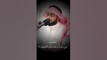 إن المتقين في مقامٍ أمين❤️ #احمد_النفيس #سورة_الدخان #fyp #اكسبلور #quran