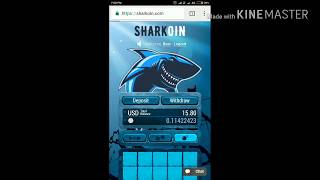 Sharkoin strategy for 100 % win