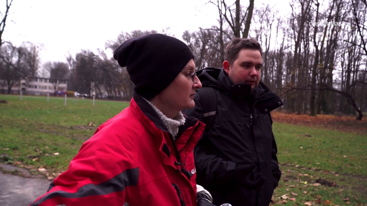 Nie kupuj psa na święta! - YouTube