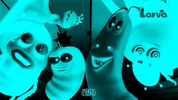 (REUPLOAD) Larva Intro in IFOE