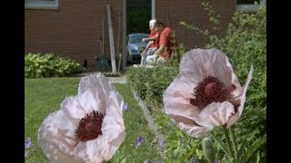 Nebraska Stories | The Master Gardener