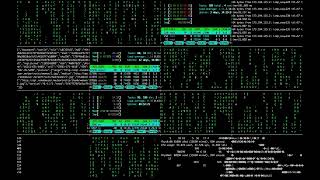 Celebrity matrix, console, hacking, code Net Worth