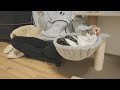 猫をシャンプーしたせいで完全に距離を置かれてしまっています