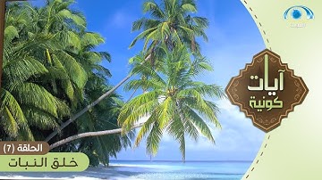 مظاهر قدرة الله سبحانه في خلق النبات | برنامج آيات كونية