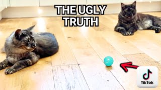 Smart Interactive Cat Toy: UGLY Truth TikTok users don't see | review & comparison