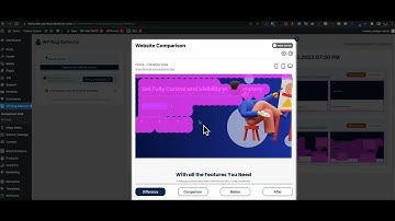 WP Bug Detector Product Demo - Find bugs on your website with ease