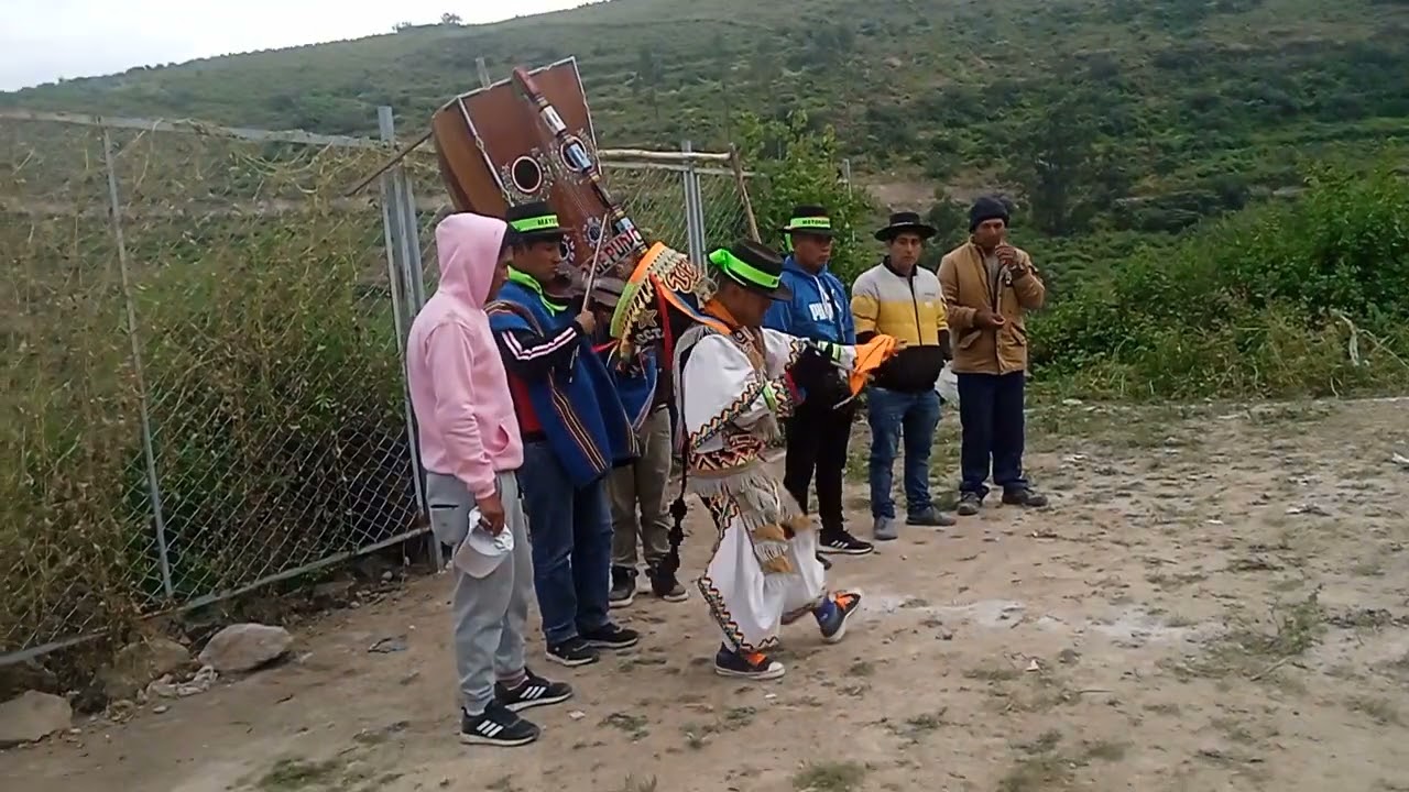 Danza de las tijeras purito alba