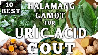 TOP 10 HALAMANG GAMOT PARA SA URIC ACID AT GOUT || URIC ACID/ GOUT NATURAL REMEDIES || Naturer