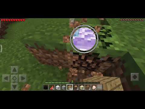 ვისაც უყვარს მინეკრაFტი ლაიქი❤️❤️❤️